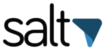 Logo Salt ERP